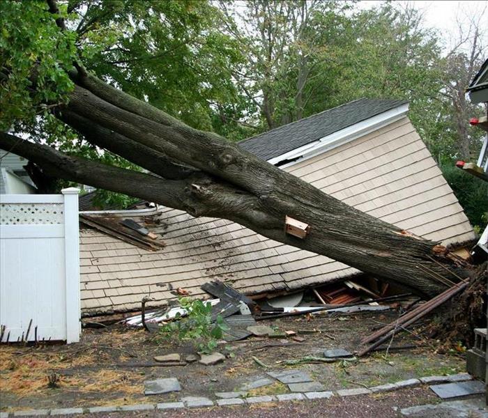 Fallen tree on a house.